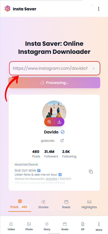 Step 2: Paste link in Insta Saver
